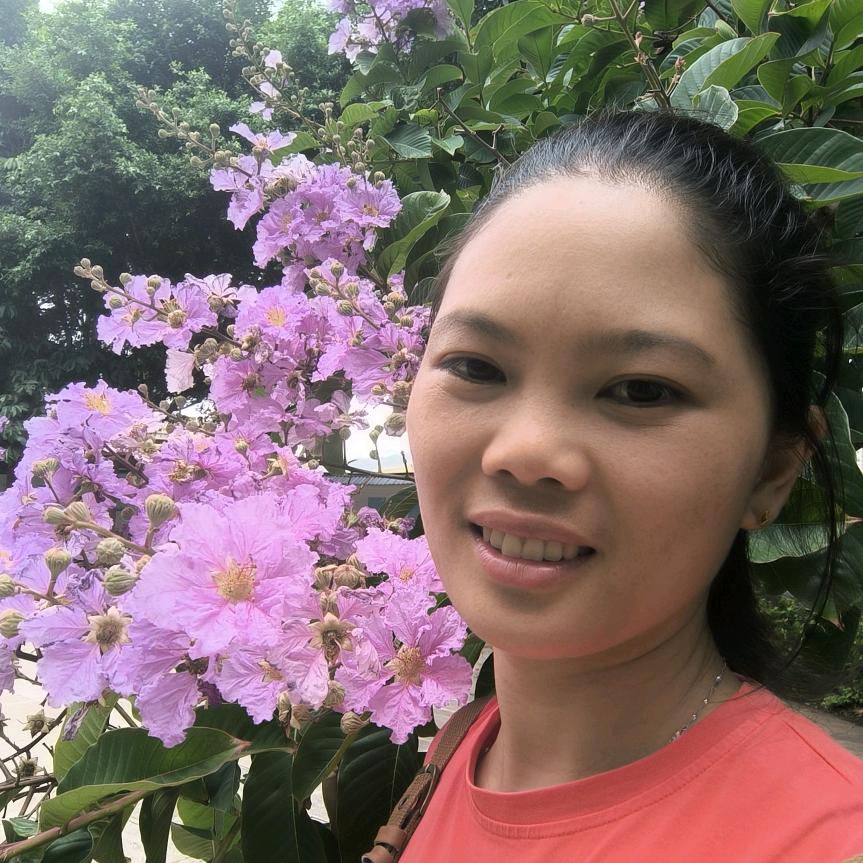 密蒙花