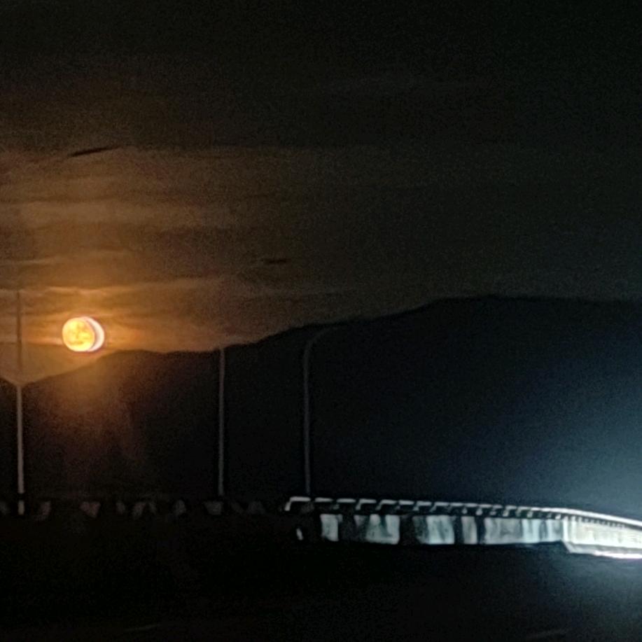 若梦三千愿沉沦