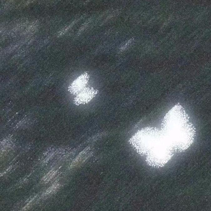 蝴蝶の57s