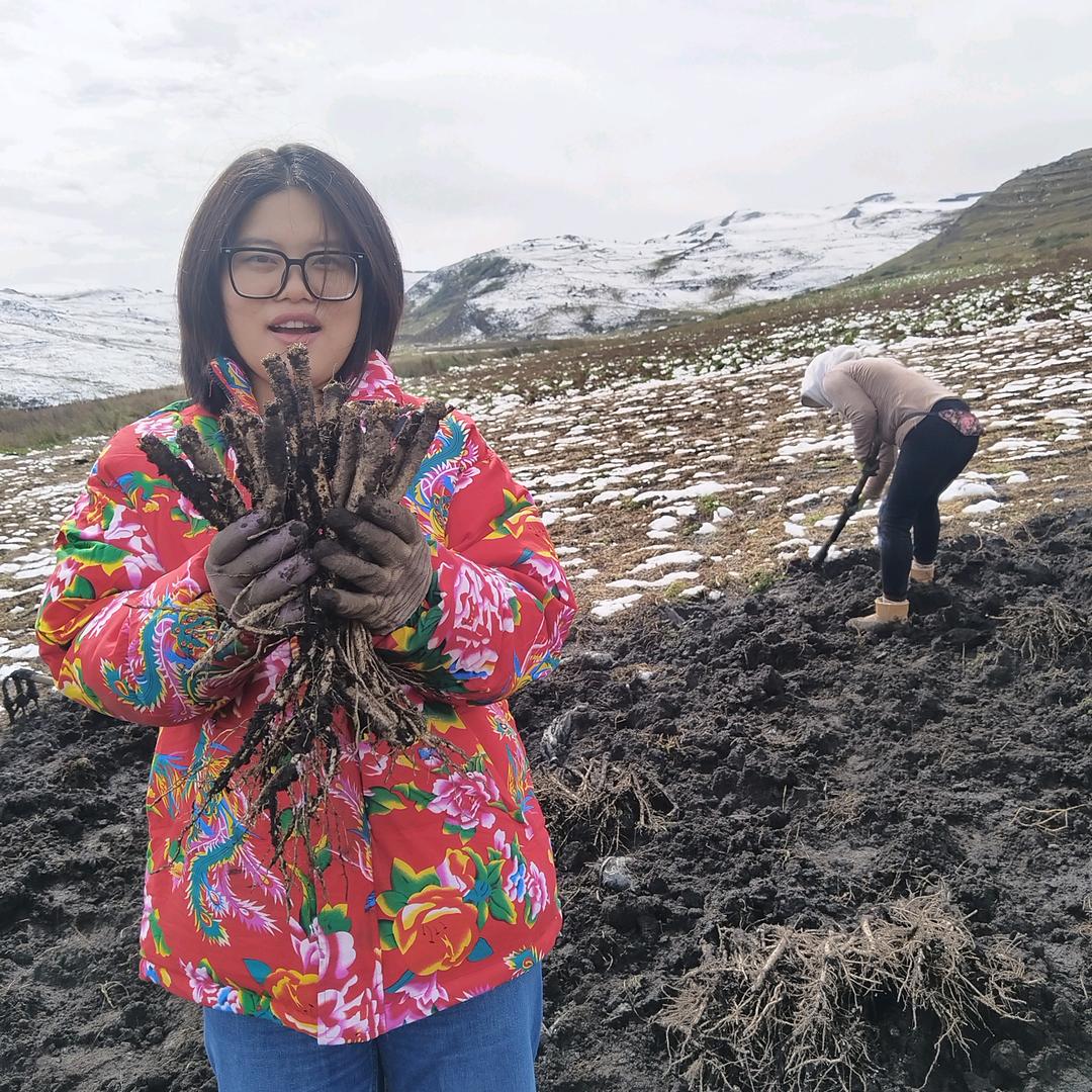芝芝[江苏远嫁甘肃]
