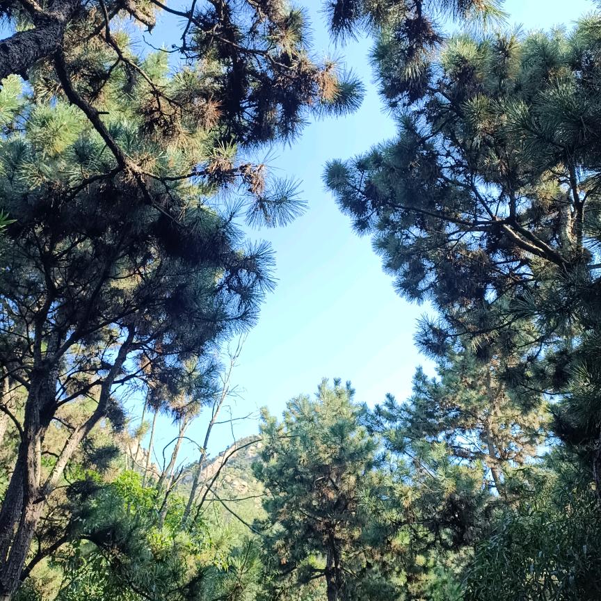 广州十三行女装批发市场