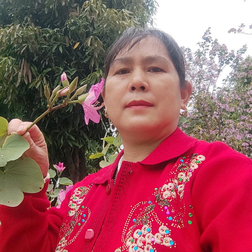 陈东梅