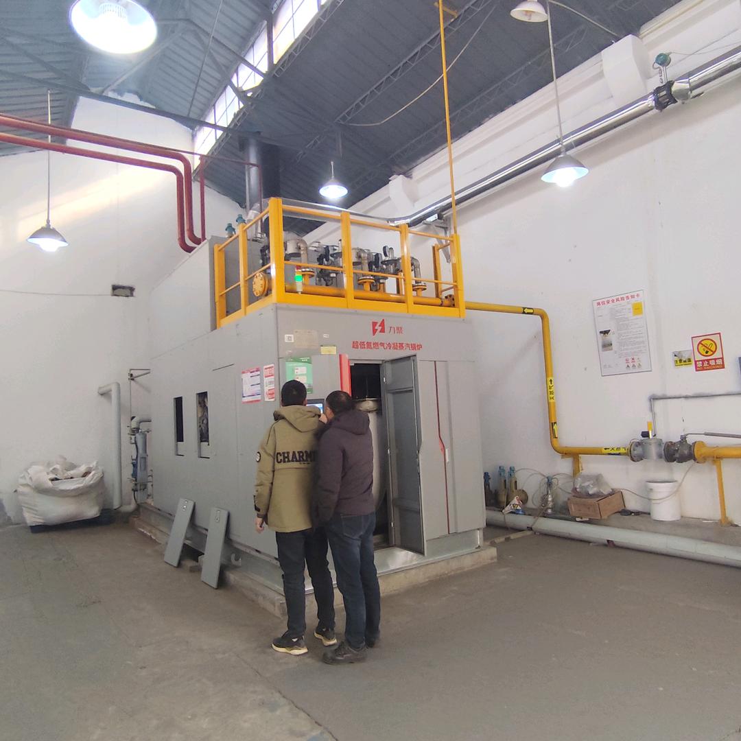 力聚锅炉江苏小毛