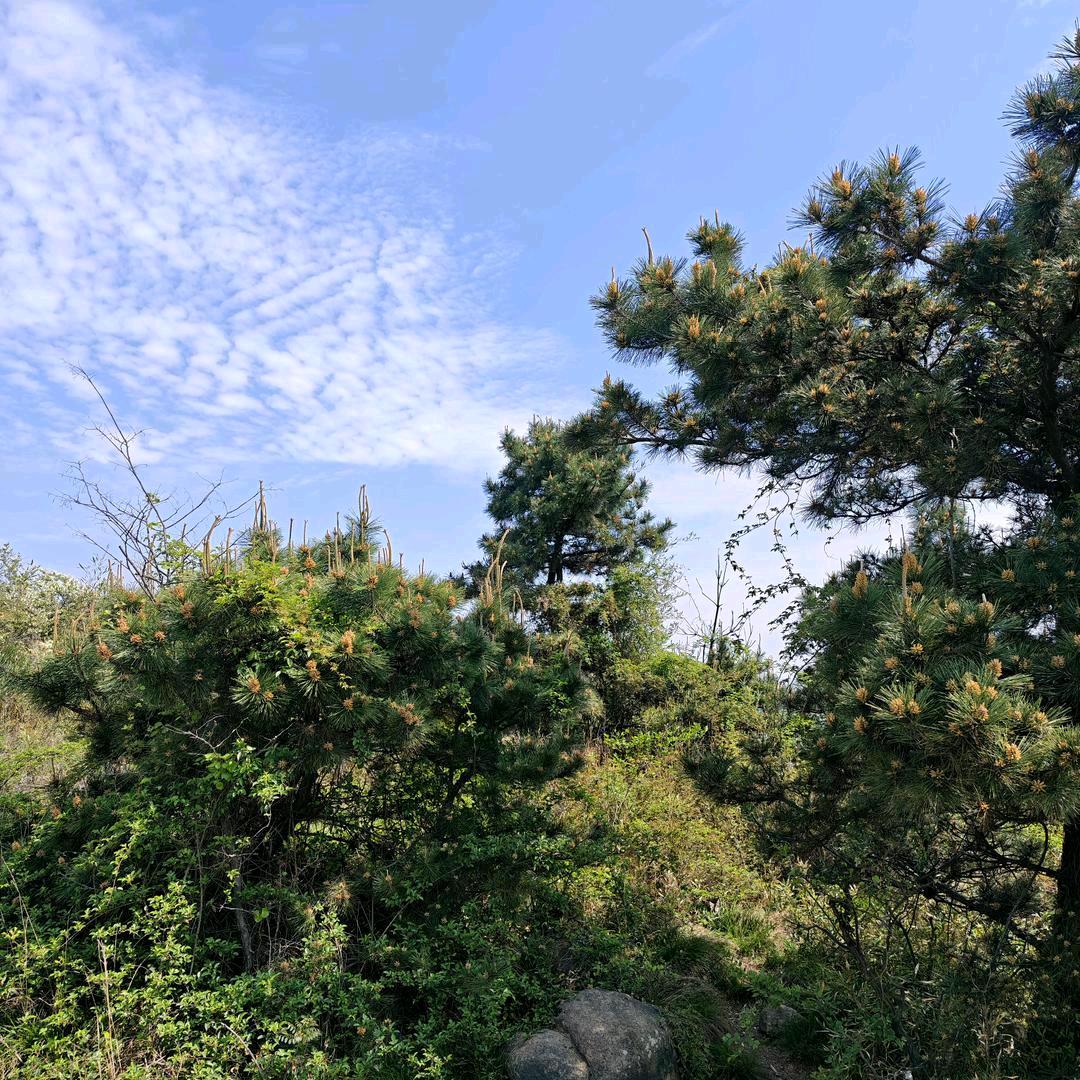 💕᭄何其ꦻ⁵₂⁰爱何ꦿꦻ࿐ᩚ