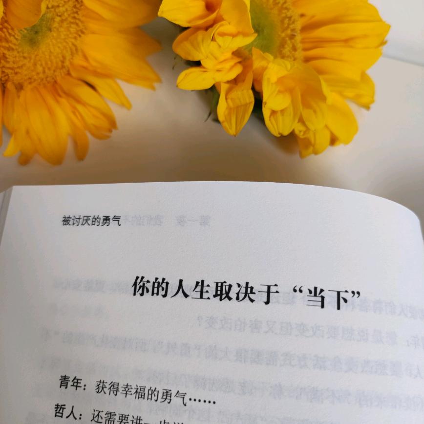 当下智慧成长