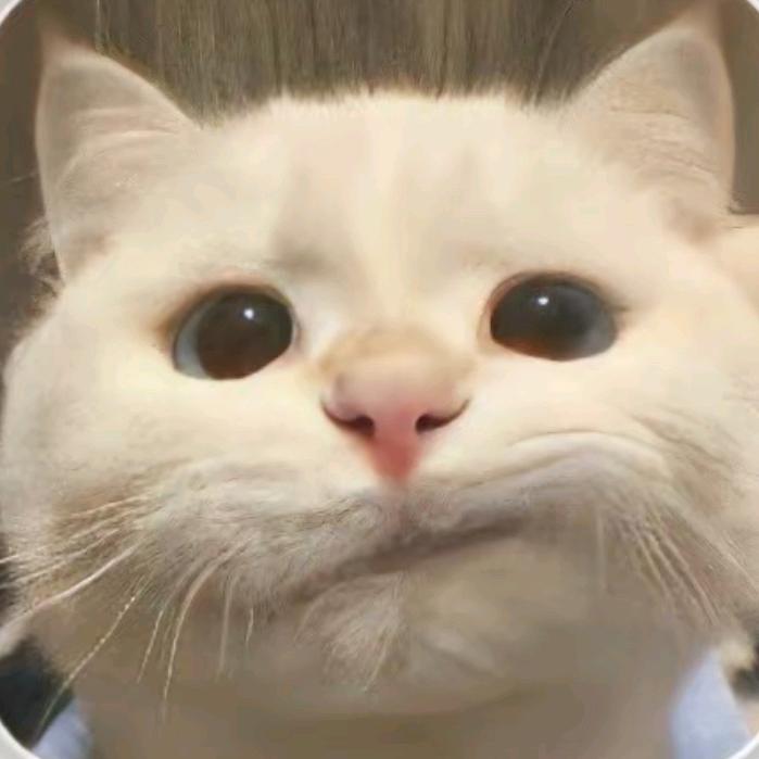 用户7169073394582