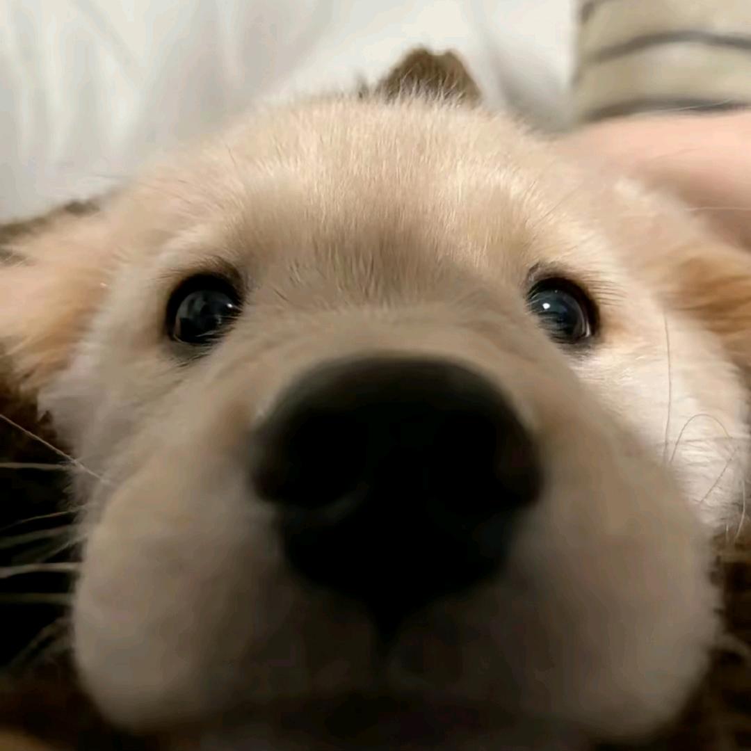 讨喜