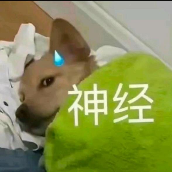 韩芊秦