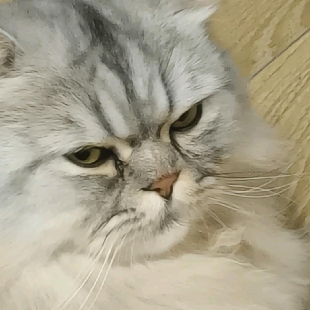 小小看剧