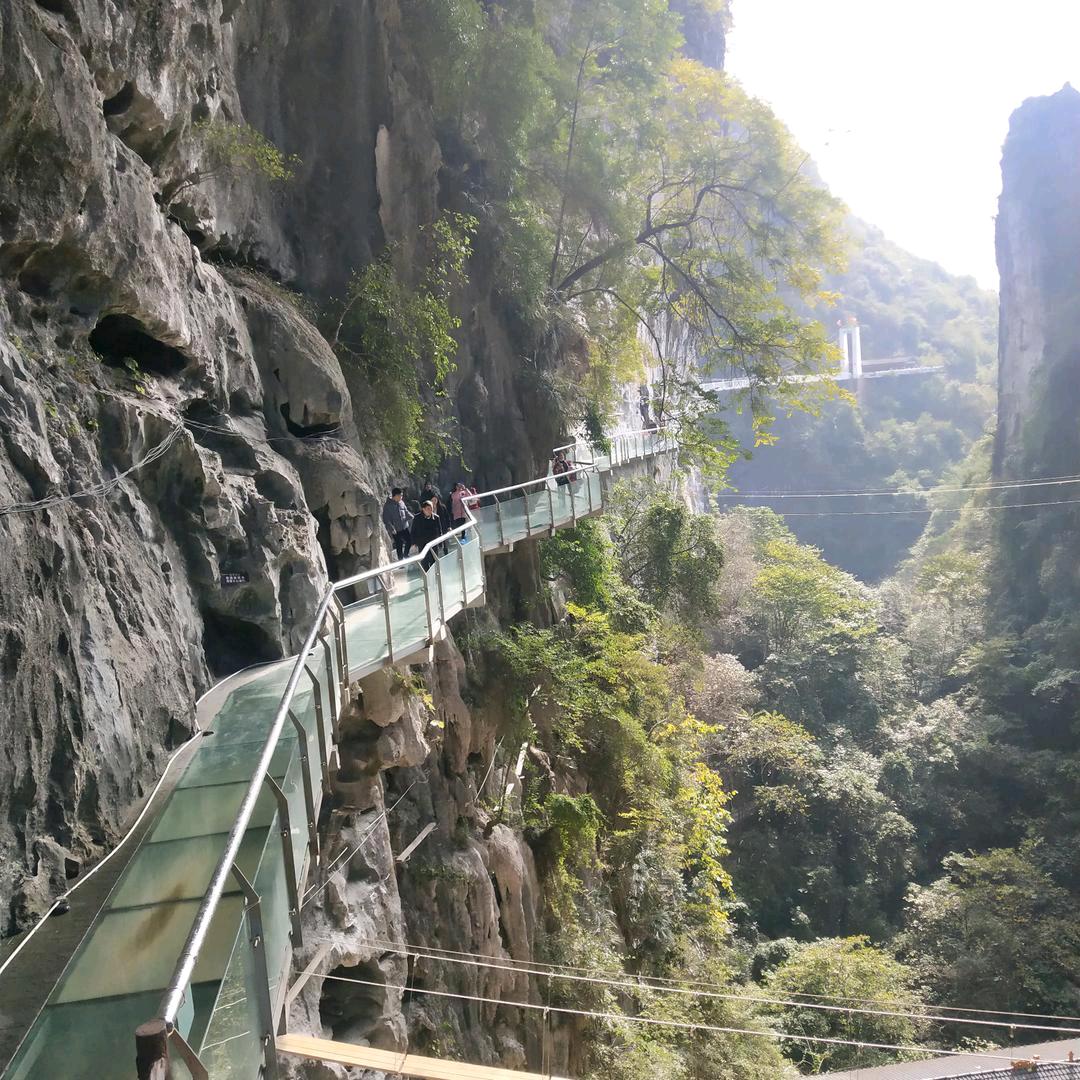 业余练歌人