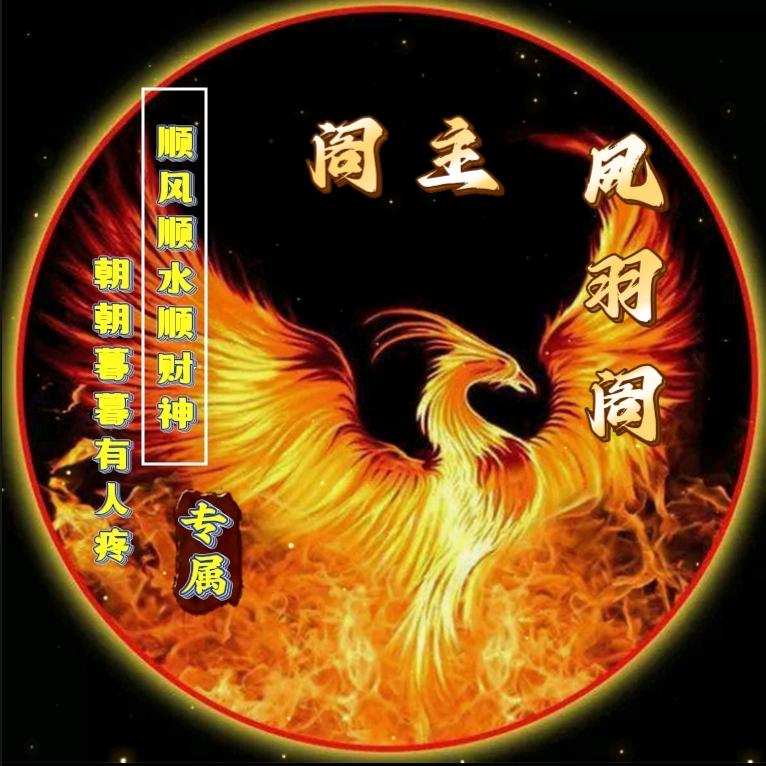 凤羽阁阁主