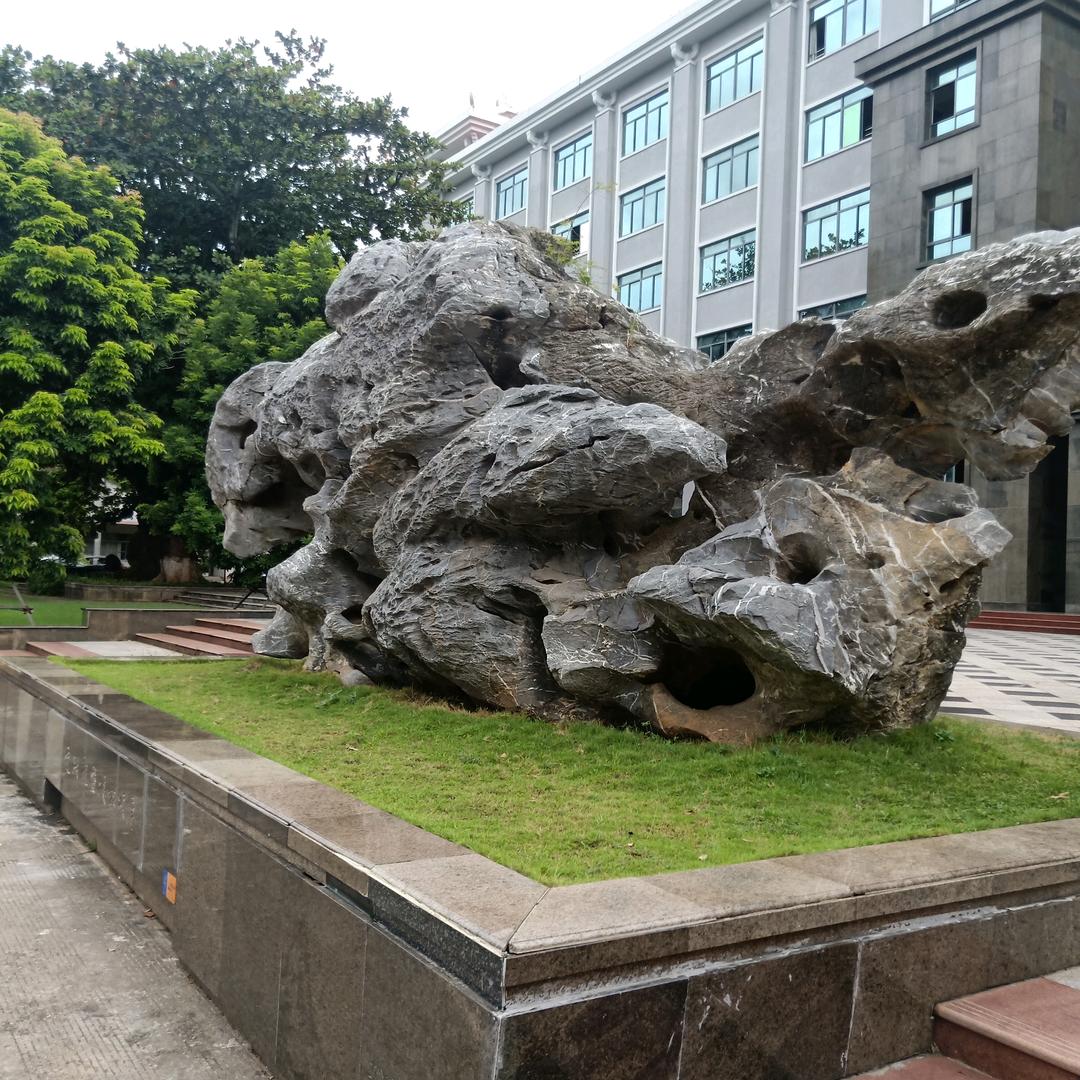 望子成龙