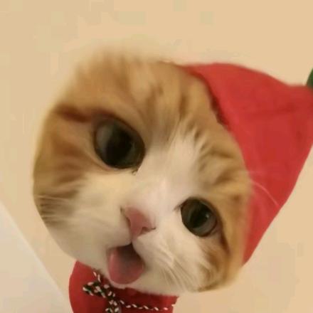 吃不饱