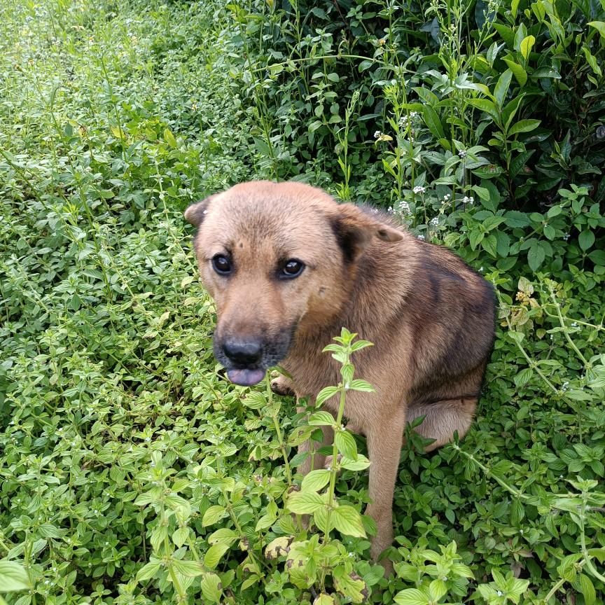 啊毛毛毛    关注必回