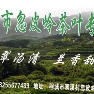 （桐城小花茶）桐城市忽皮岭茶叶