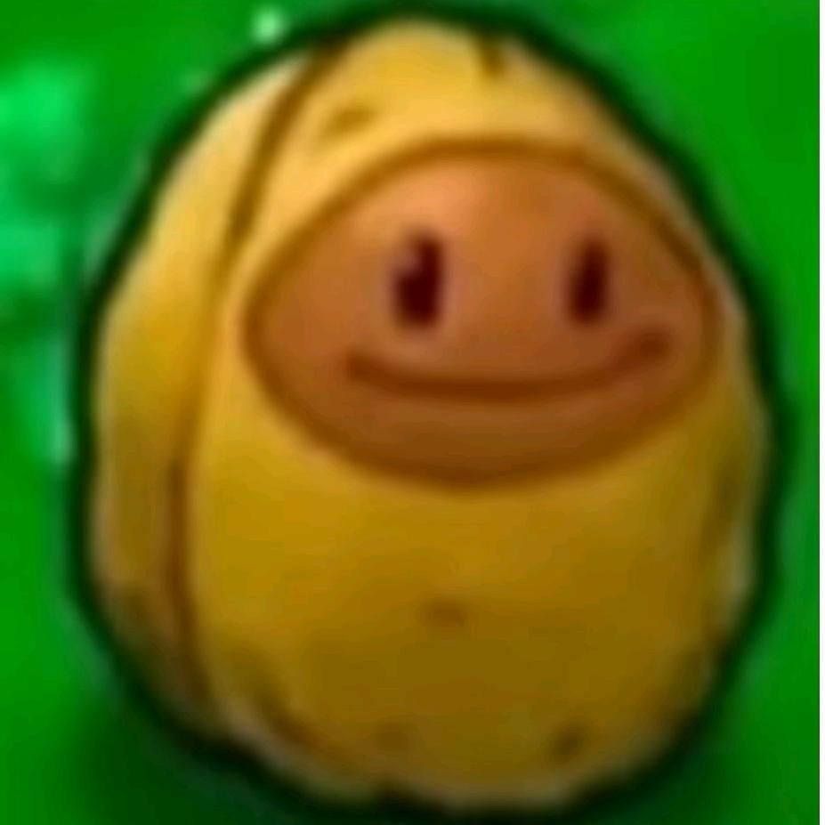 南神（暗区突围）