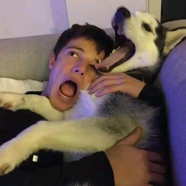 晓飞_