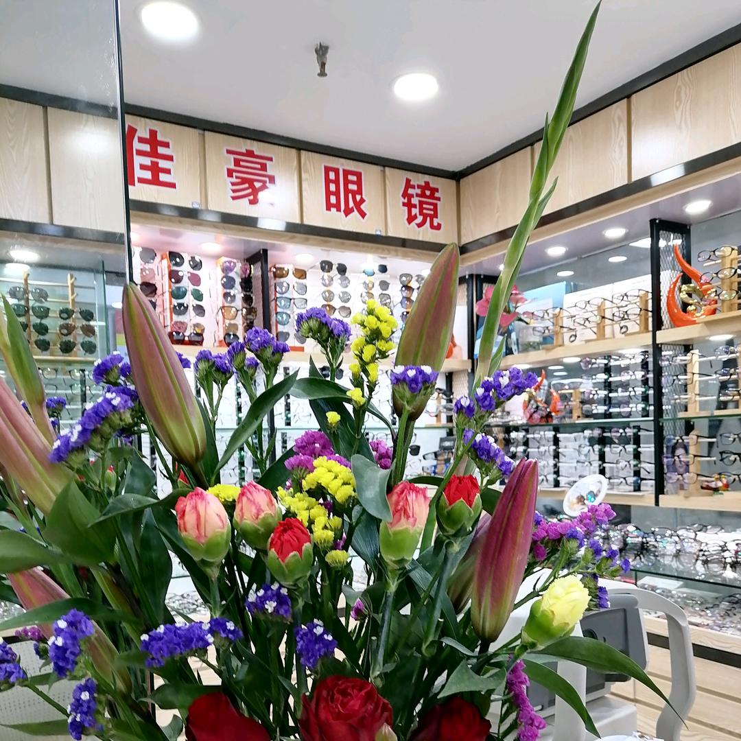 佳豪眼镜406