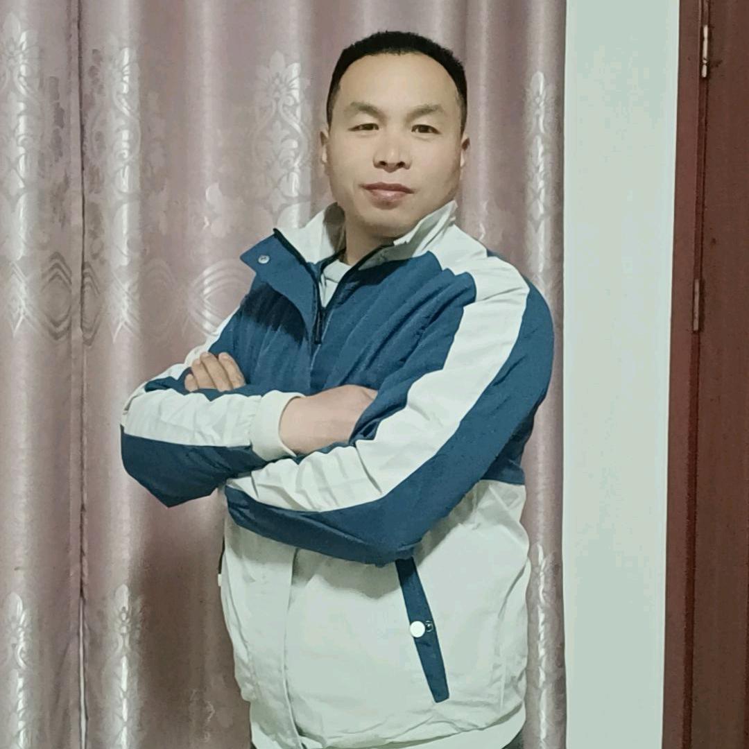 怪*尊师白杨树
