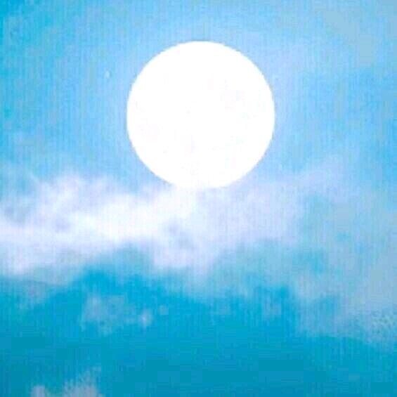 西海情歌