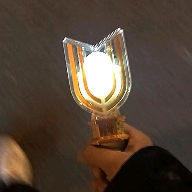 白山茶