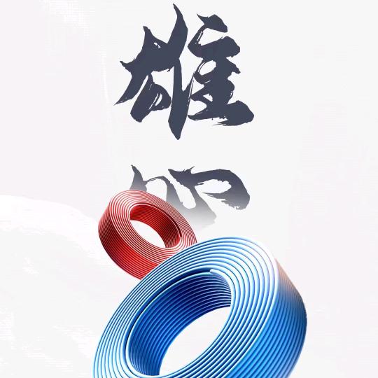 电线电缆  李