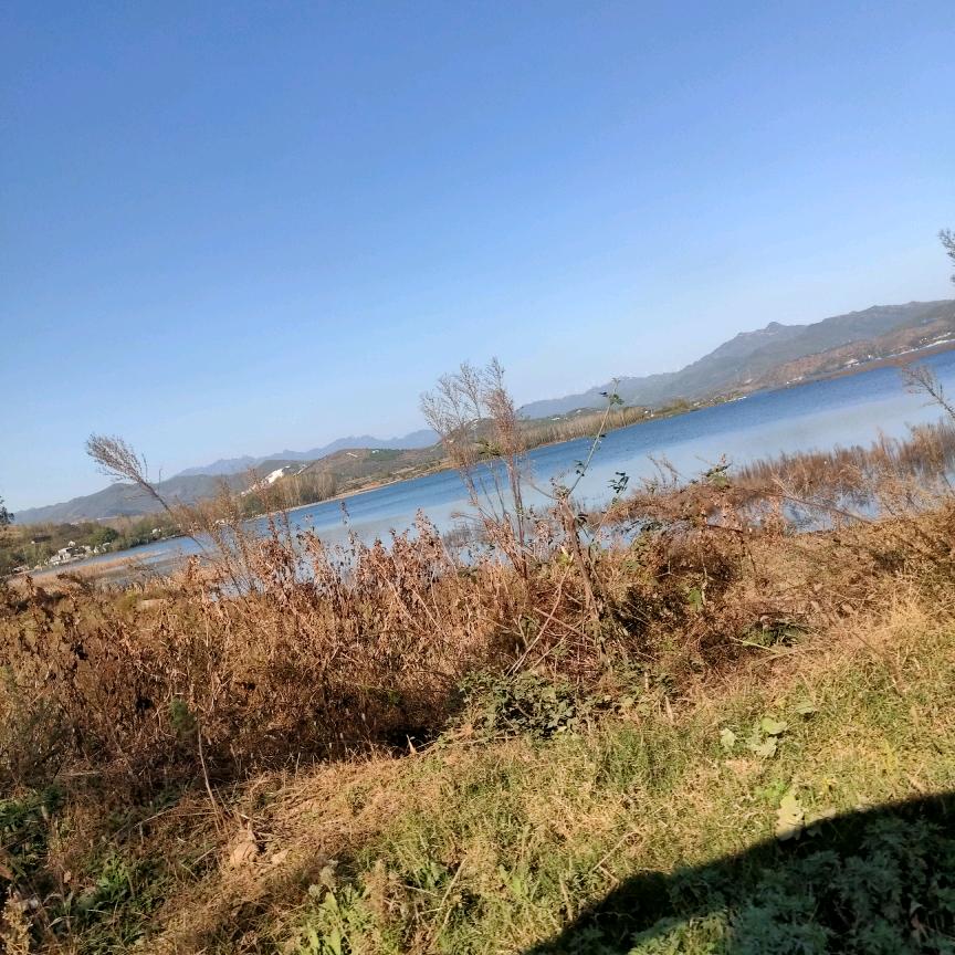 玉见美321