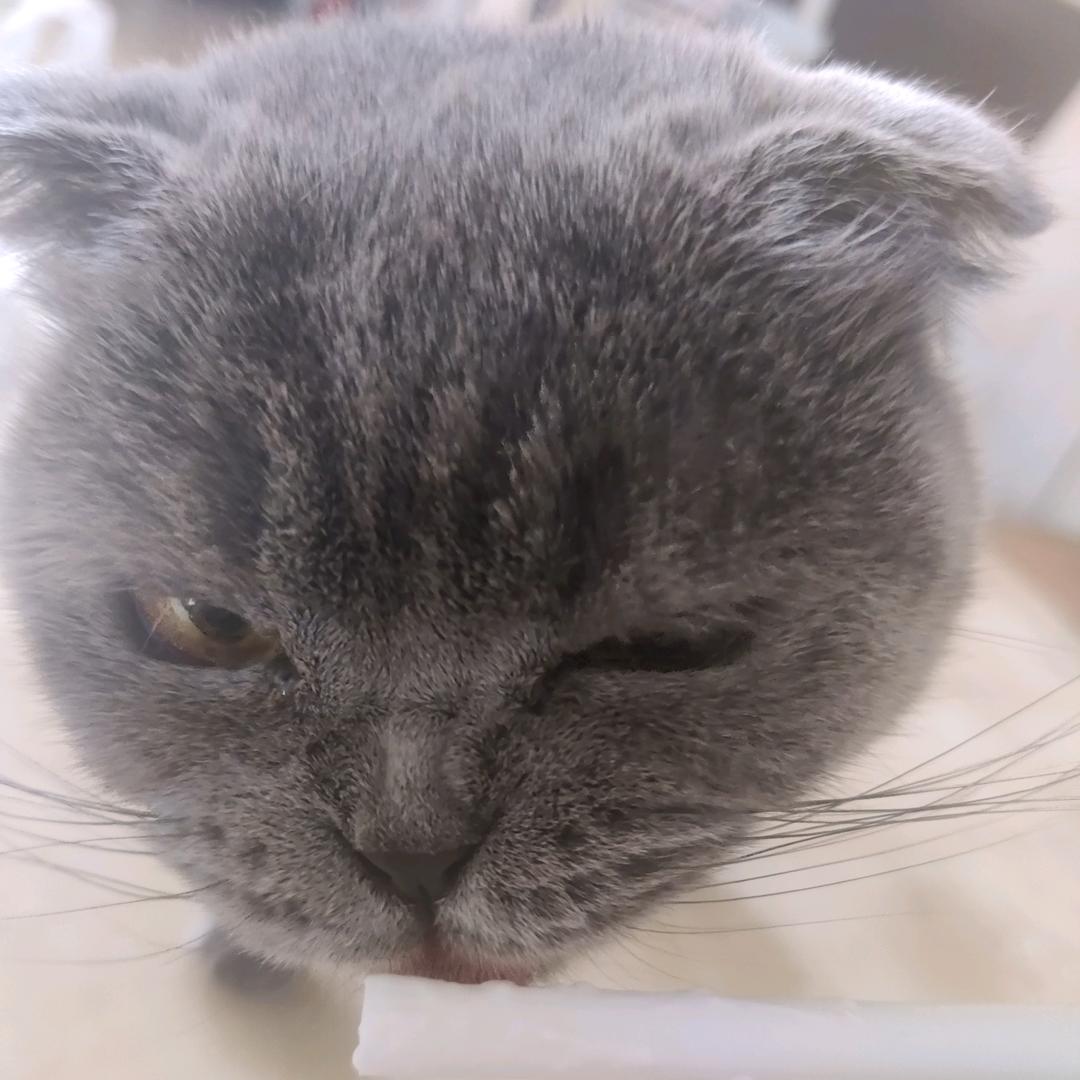 陈年旧事