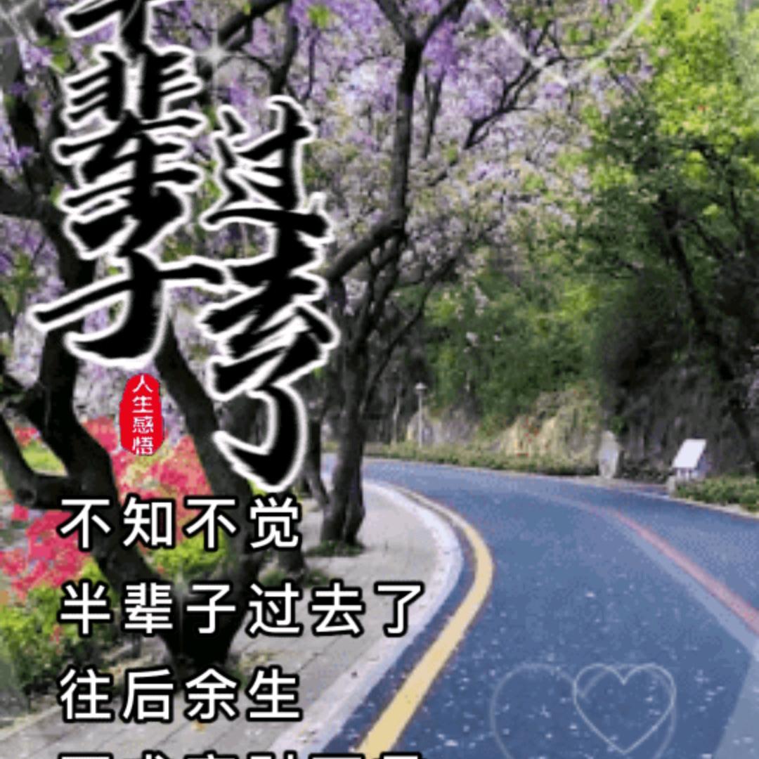 人生无悔