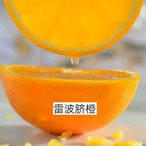 雷波赐鑫脐橙甄选