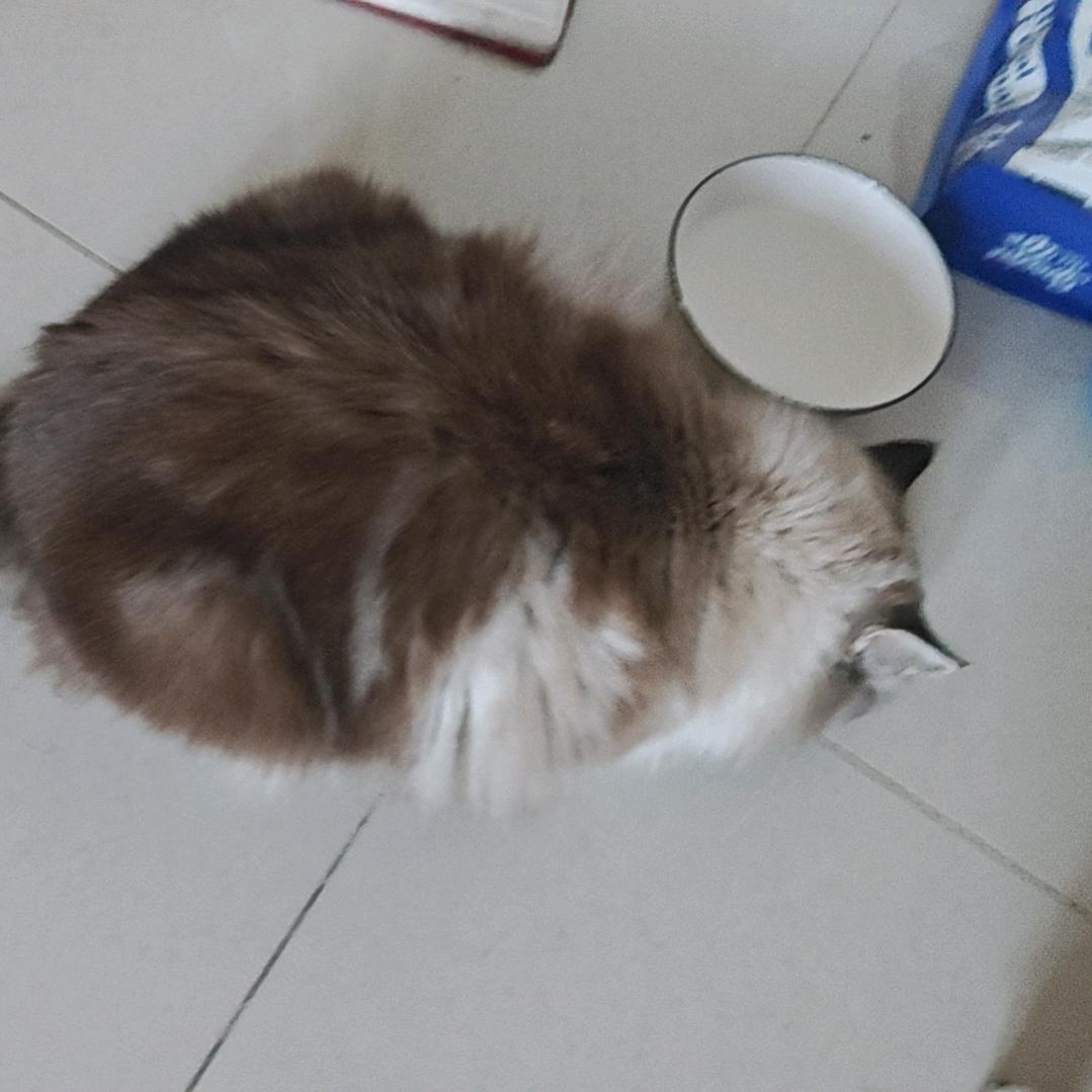 是冷儿呀头像