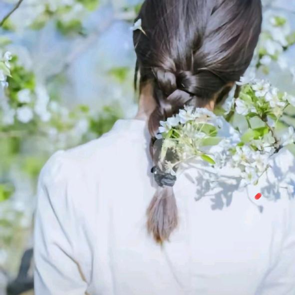 芬芬