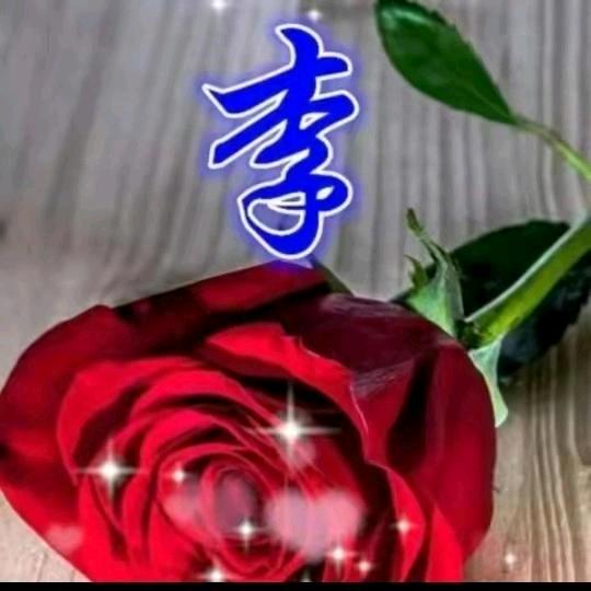 骑毛驴闯红灯