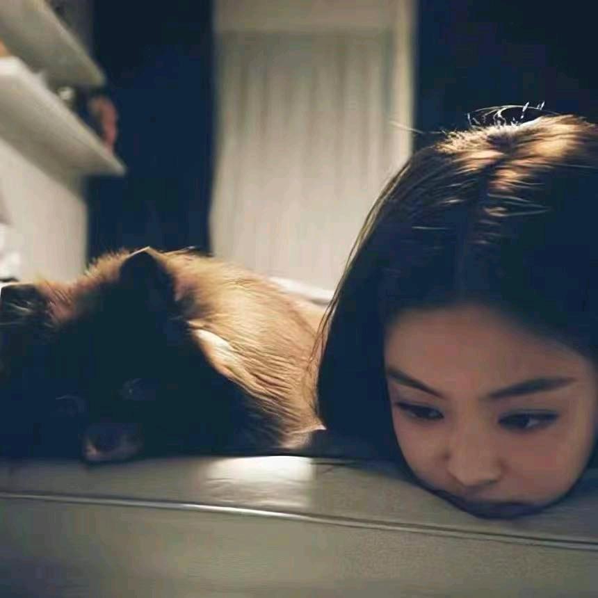 zzzz