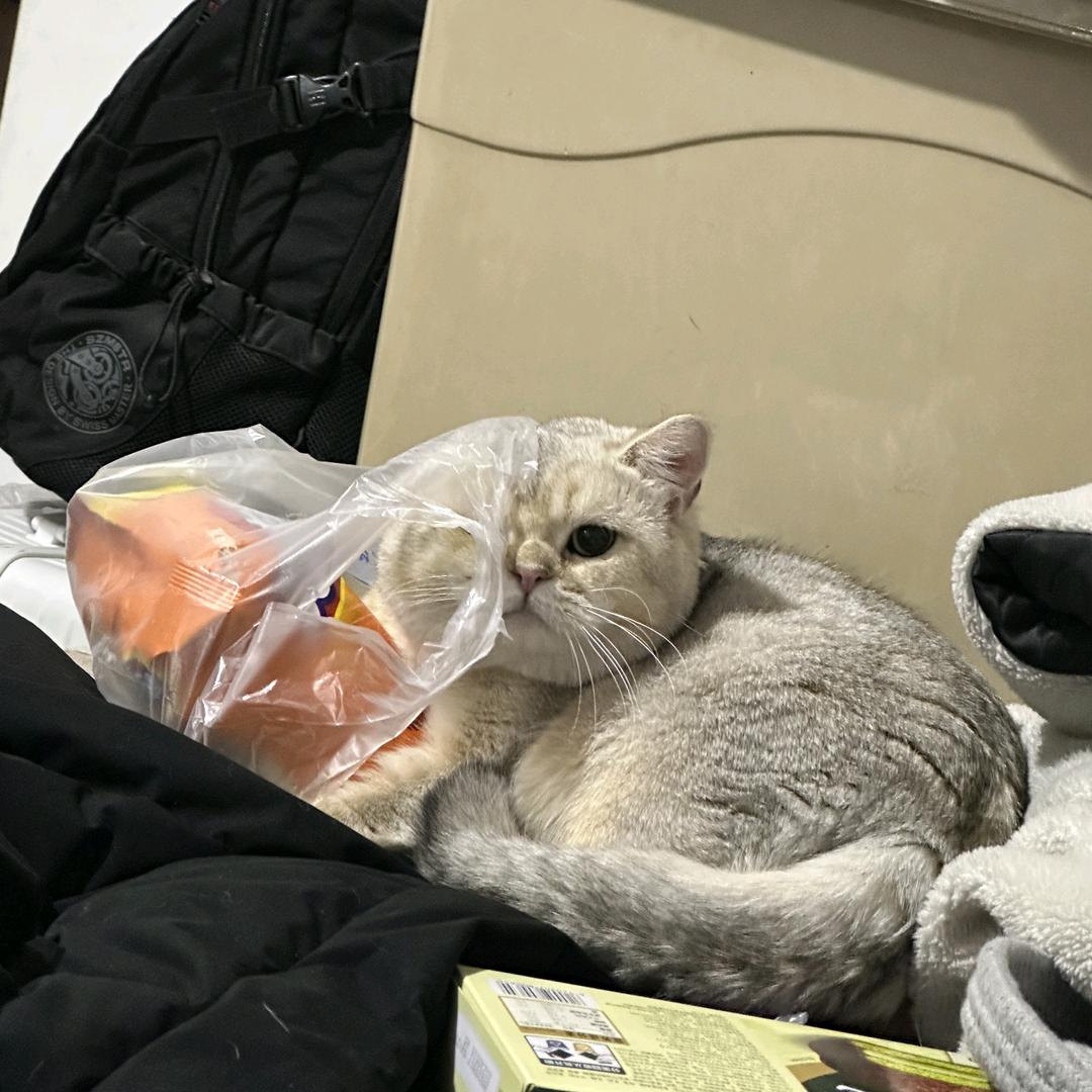 我讨厌不回消息