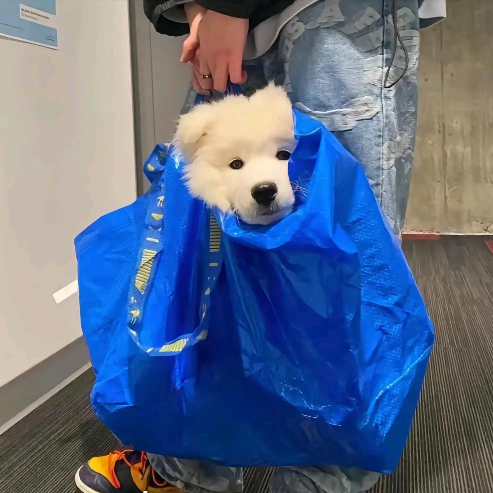 🌈睡醒就喝蛋白粉