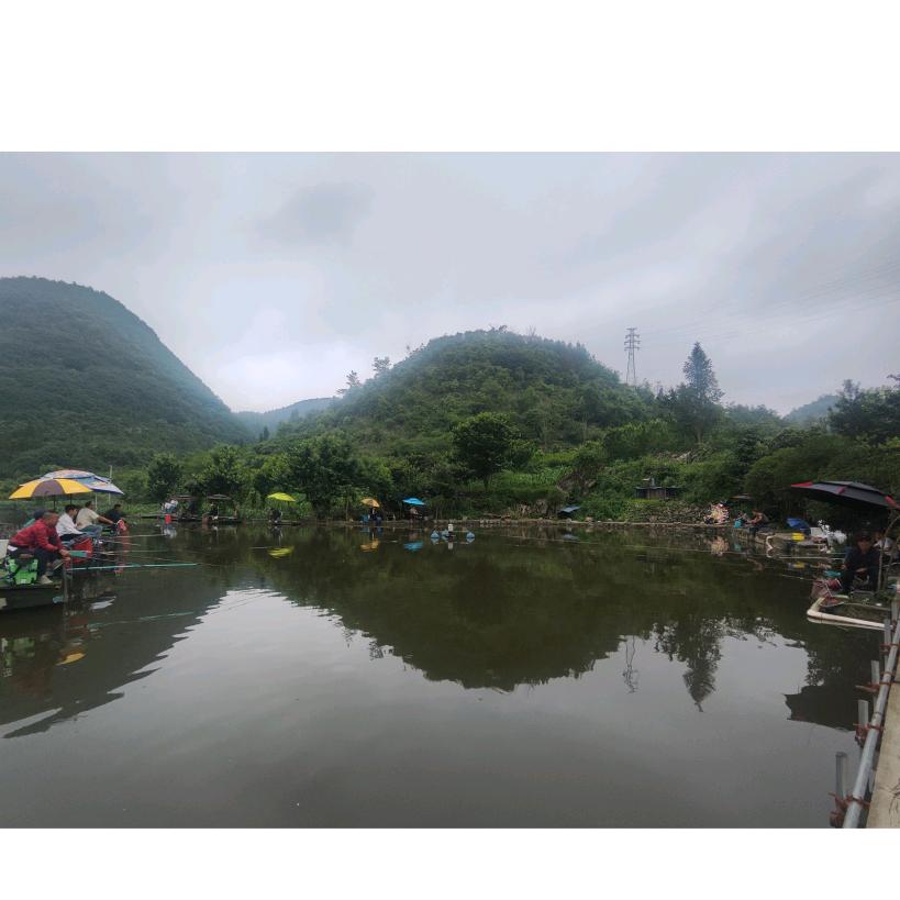 大用渔乐园垂钓场