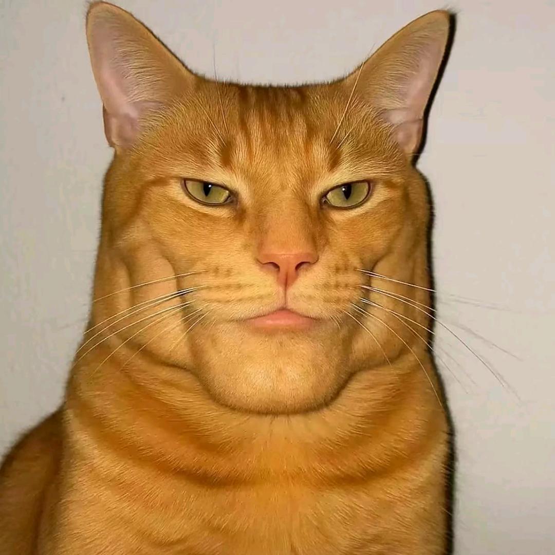 三加二八头像