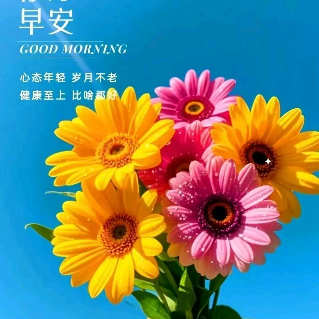 灯火辉煌
