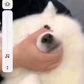她对着我晃