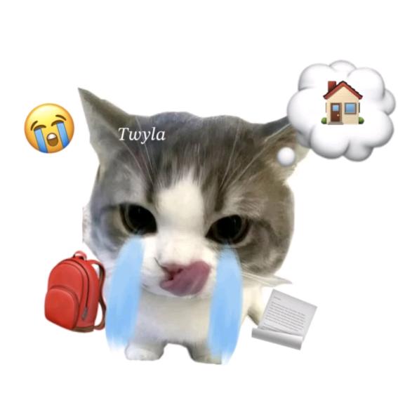 叽里咕噜💤