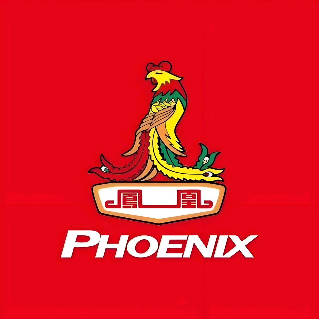 凤凰儿童自行车店4S授权