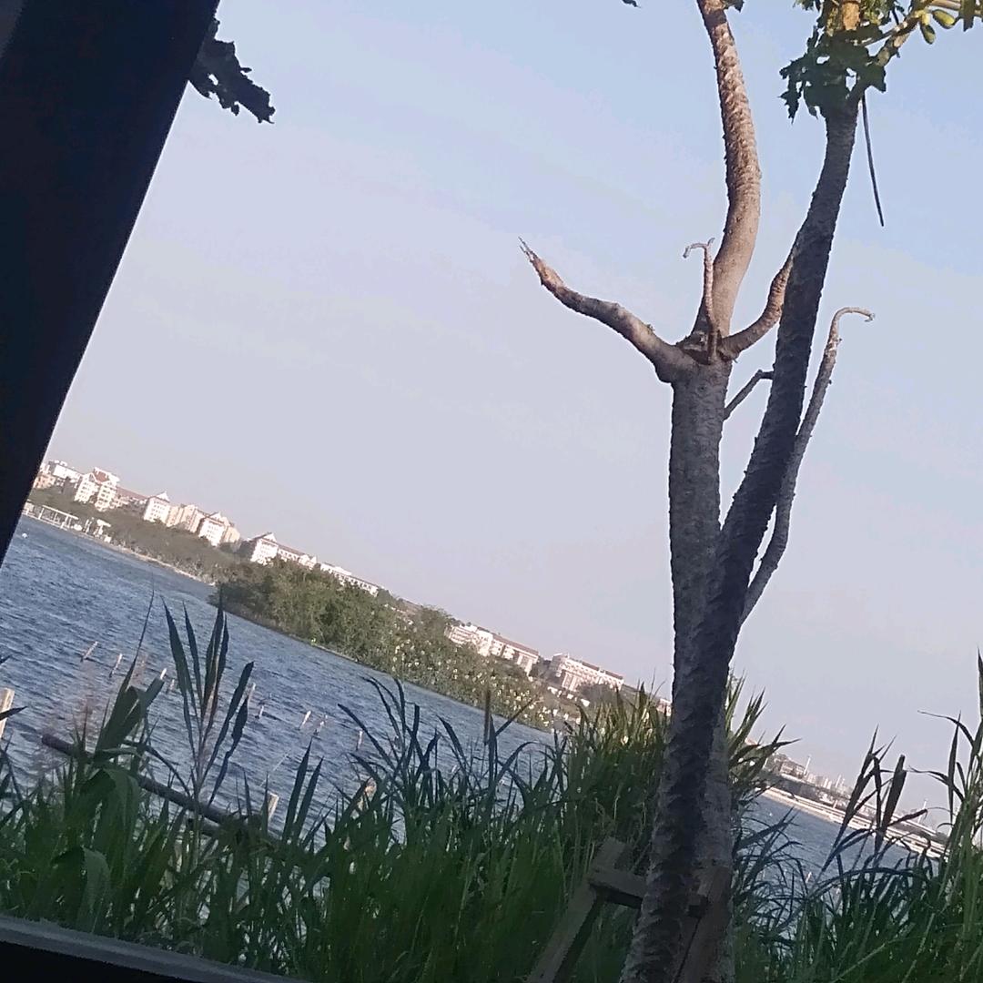 相守一生