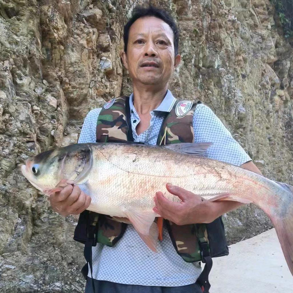 野钓杨哥，