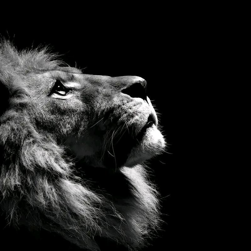 ꧅ꦿ💖余生⛵我ꦹོ独行🌟ꦹ