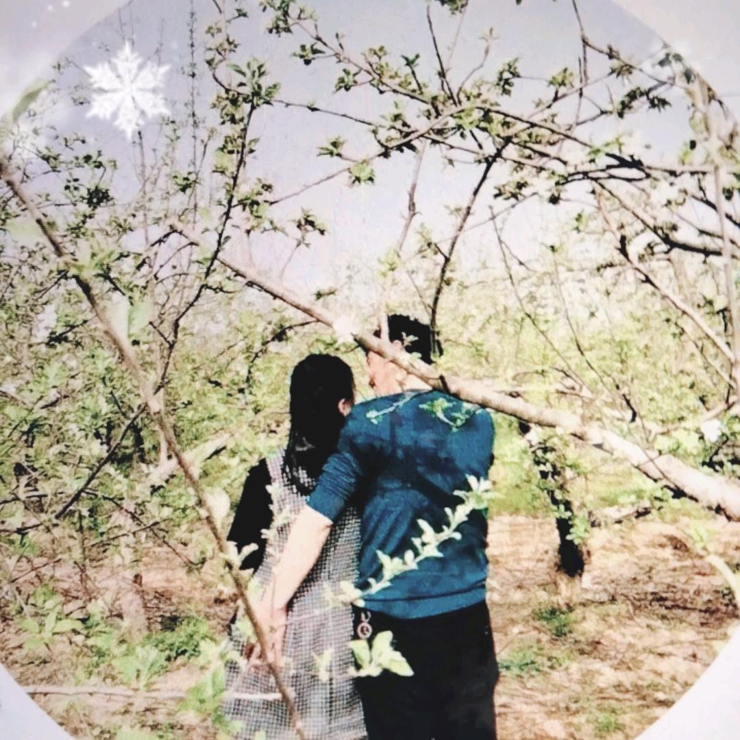 自由自在，无拘无束