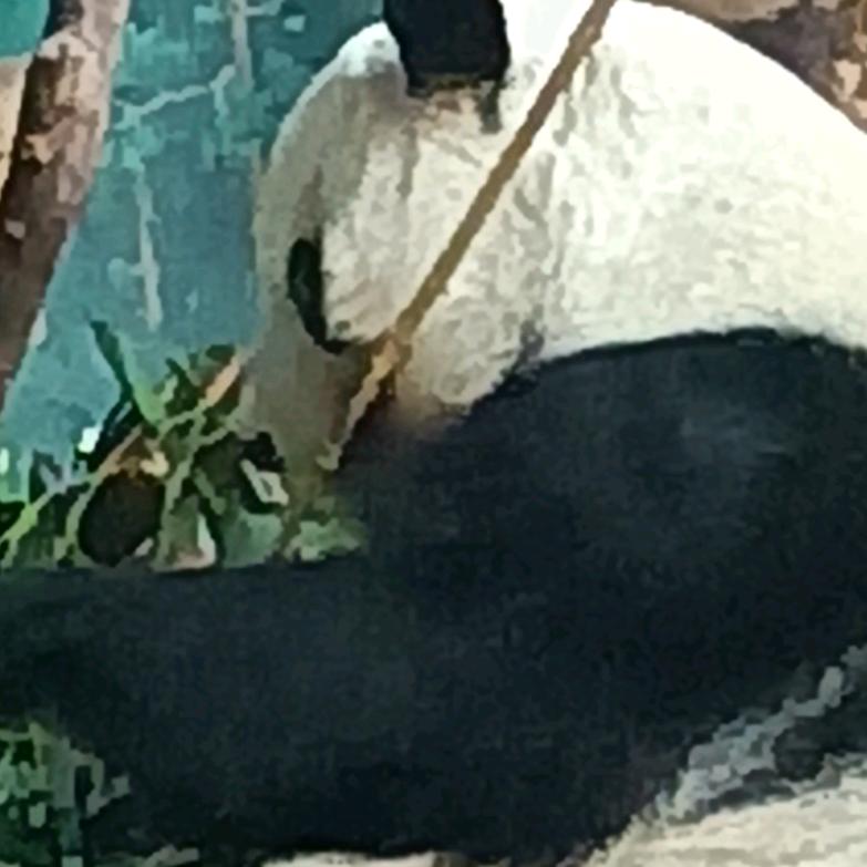 希望宇宙更美好