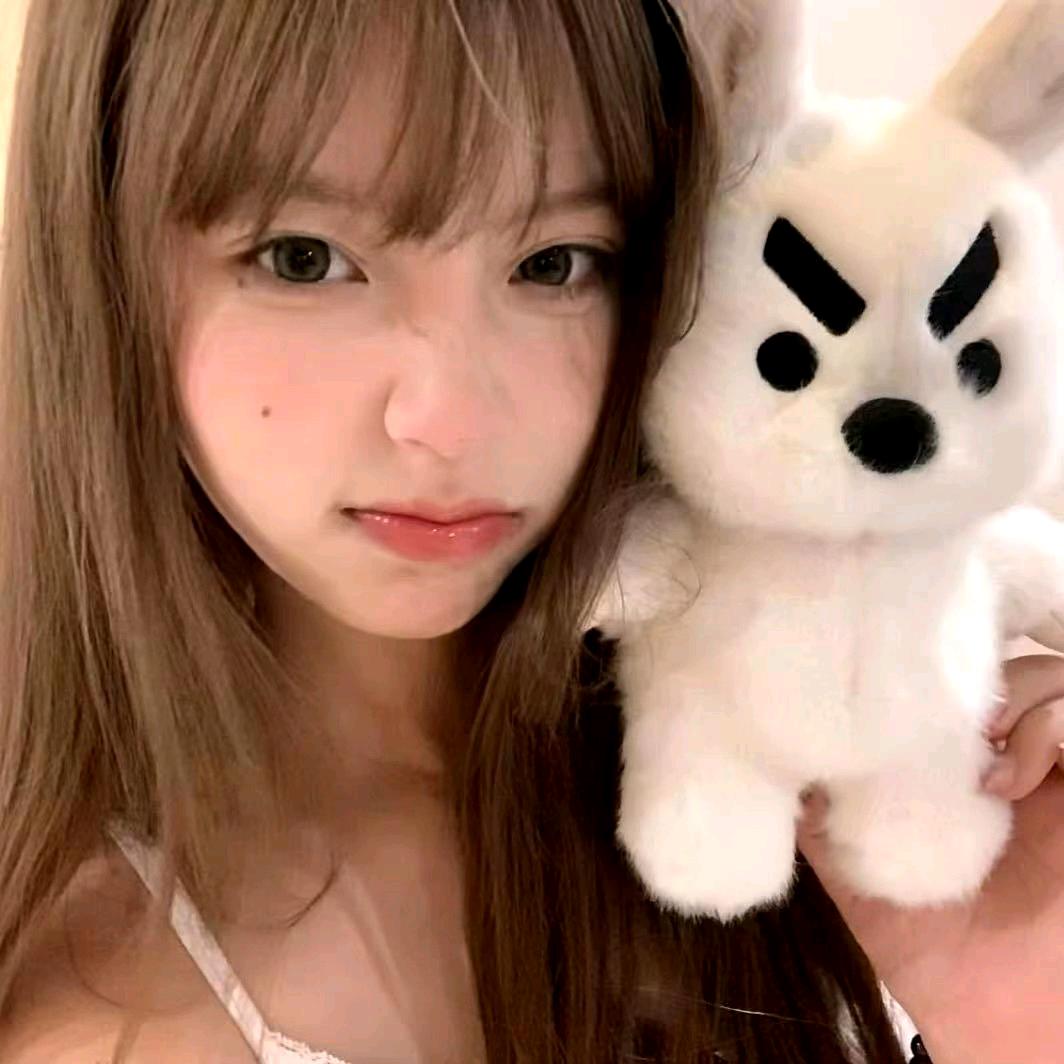进口桃乐丝