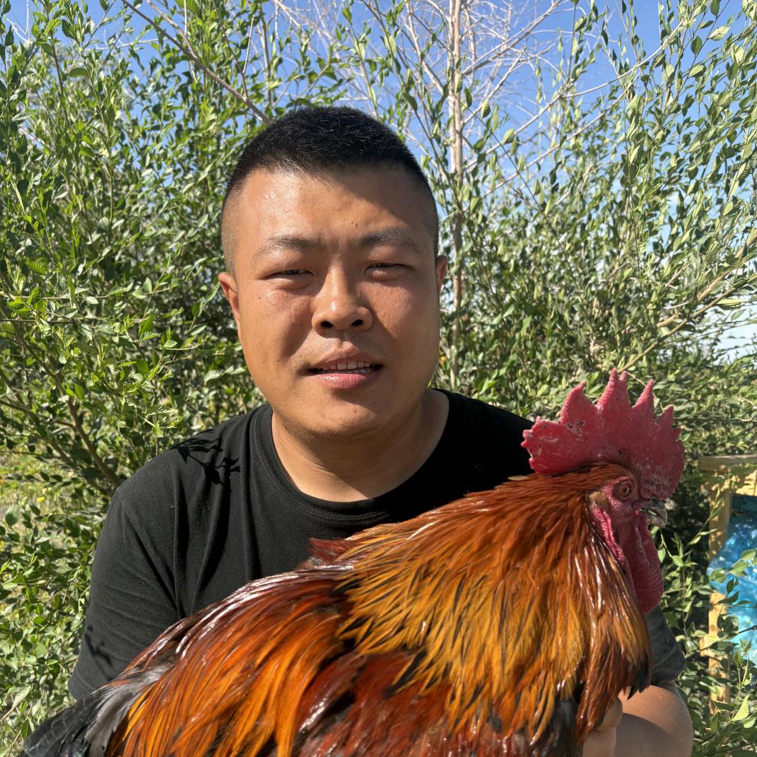 小胖的农场