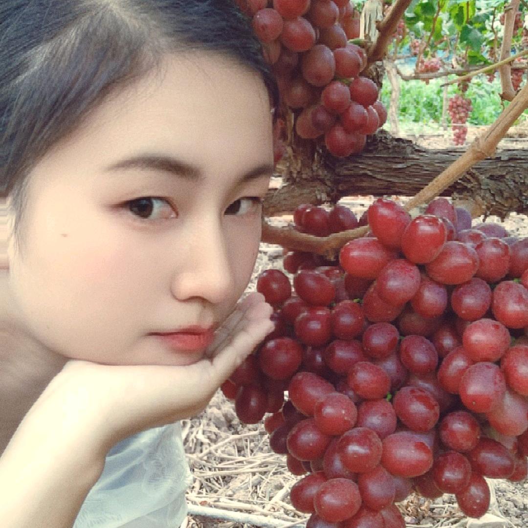 小葡萄村长